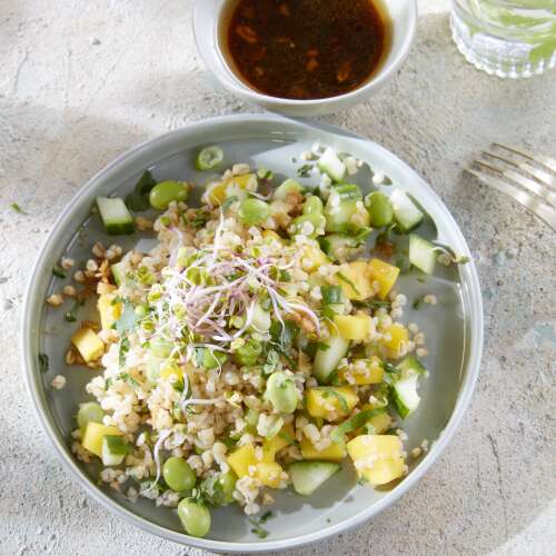 Recept Voor Bulgur Met Edamame, Komkommer En Mango | Colruyt Lekker Koken